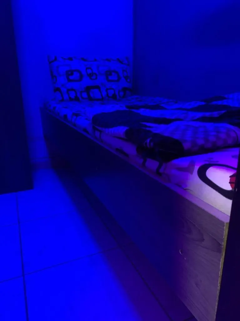 דובאי Bright Rooms